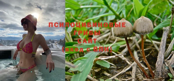a pvp Баксан