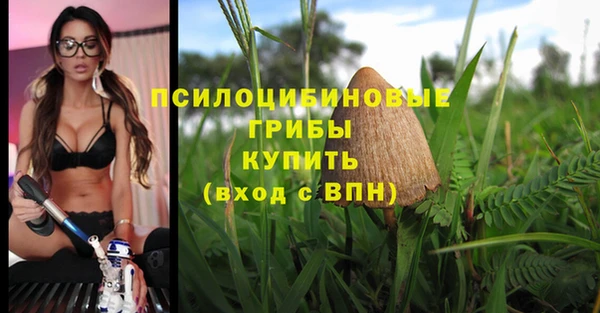 spice Балахна